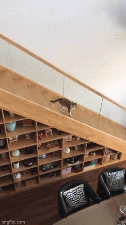 Просто гифки, всякие и&nbsp;разные