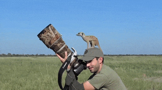 В поисках лучшего кадра