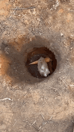 Хорошо устроился