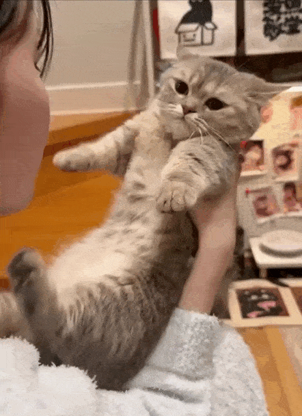 Просто гифки, всякие и&nbsp;разные