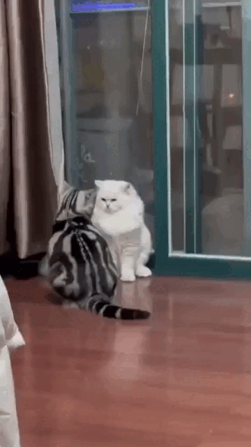 Просто гифки, всякие и&nbsp;разные