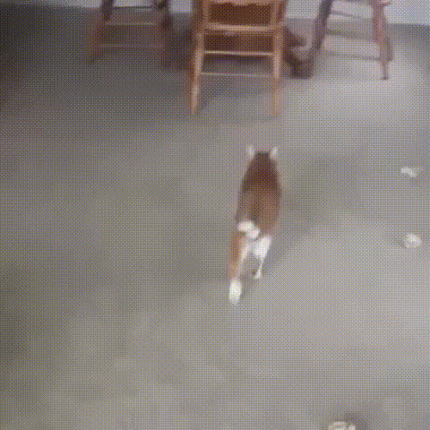 Просто гифки, всякие и&nbsp;разные