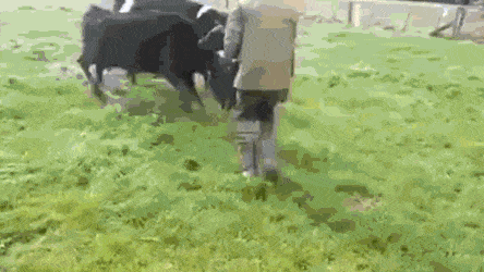 Просто гифки, всякие и&nbsp;разные