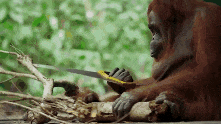 Просто гифки, всякие и&nbsp;разные