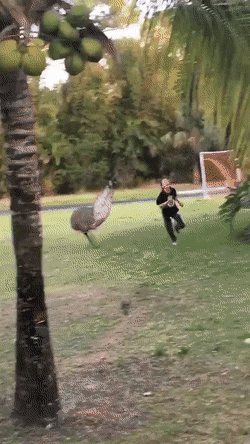 Просто гифки, всякие и&nbsp;разные