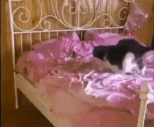 Просто гифки, всякие и&nbsp;разные