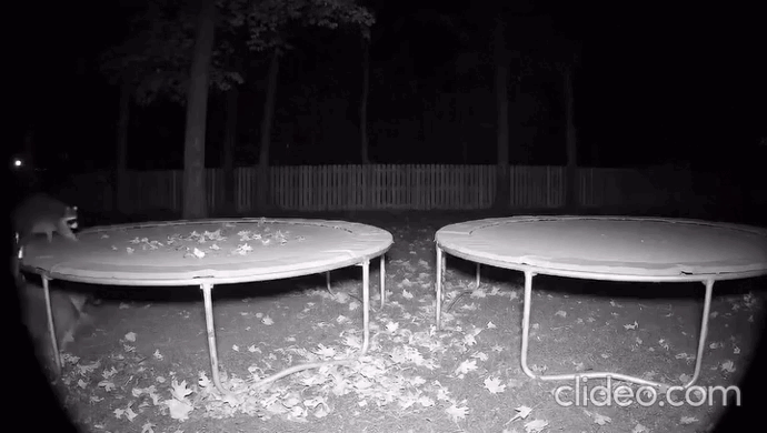 Просто гифки, всякие и&nbsp;разные