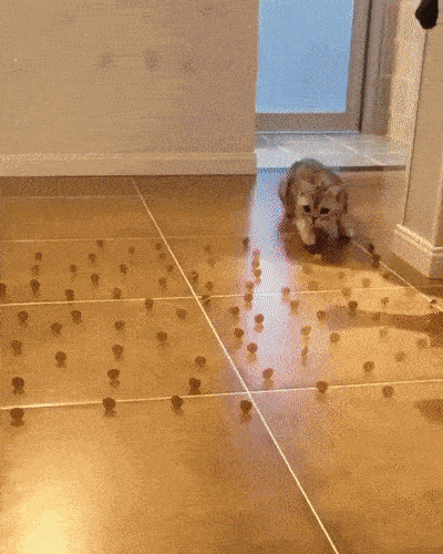 Просто гифки, всякие и&nbsp;разные