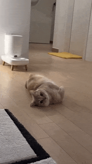 Просто гифки, всякие и&nbsp;разные