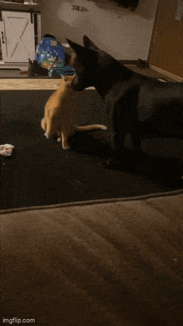 Просто гифки, всякие и&nbsp;разные