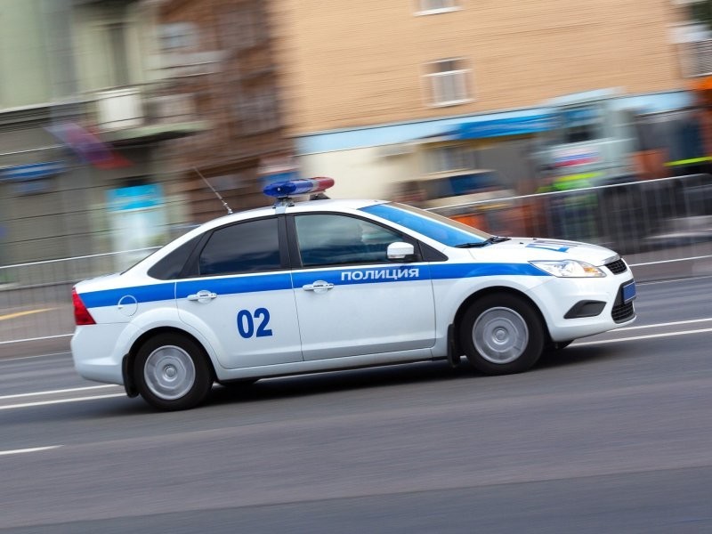 В России завели первое уголовное дело за последствия самовыгула собаки