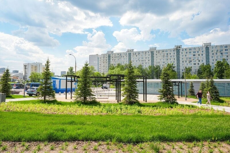 С 2011 по 2024 год в Москве высадили 13 миллионов деревьев и кустарников