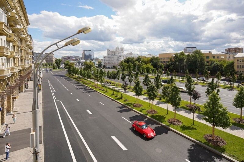 С 2011 по 2024 год в Москве высадили 13 миллионов деревьев и кустарников
