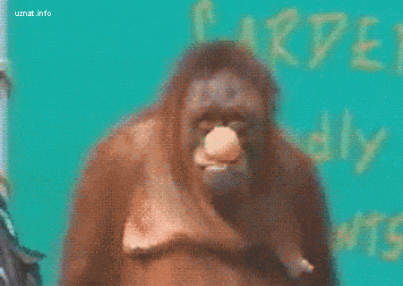 Просто гифки, всякие и разные Просто гифки, всякие и разные