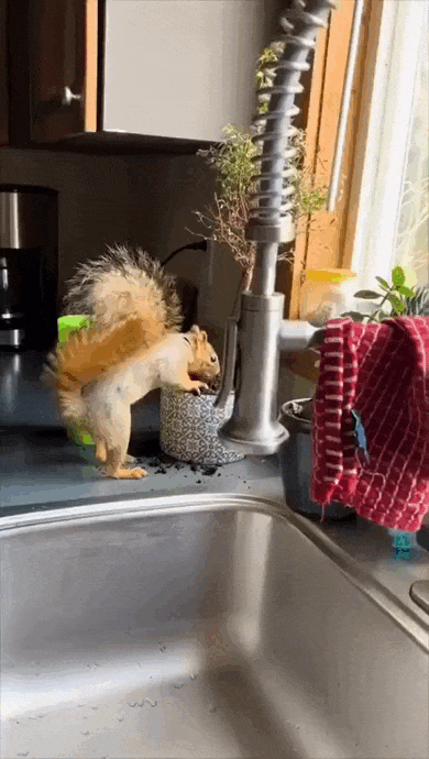 Просто гифки, всякие и разные Просто гифки, всякие и разные