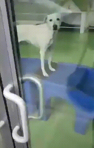 Просто гифки, всякие и разные Просто гифки, всякие и разные