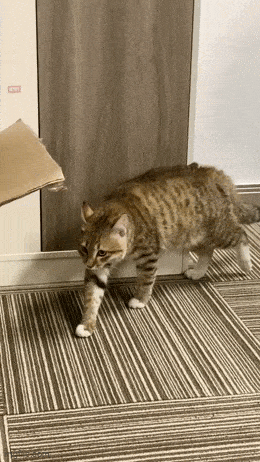 Просто гифки, всякие и разные Просто гифки, всякие и разные