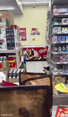 Просто гифки, всякие и разные Просто гифки, всякие и разные