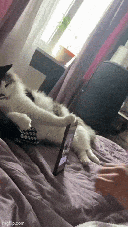 Удобная подставка для телефона Удобная подставка для телефона