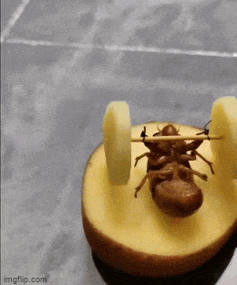 Вот с кого нужно брать пример