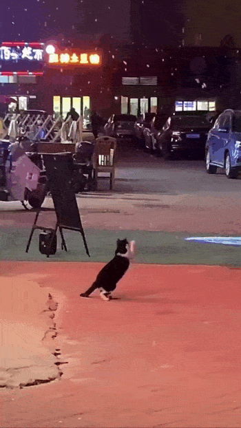 Просто гифки, всякие и&nbsp;разные