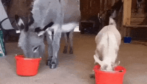 Просто гифки, всякие и&nbsp;разные