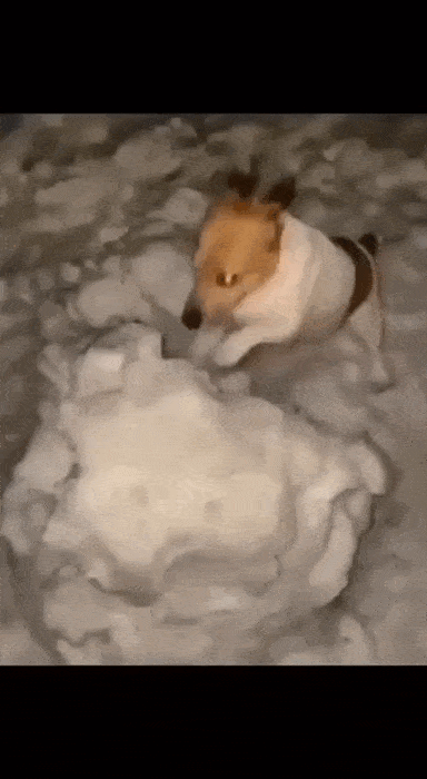 Просто гифки, всякие и&nbsp;разные