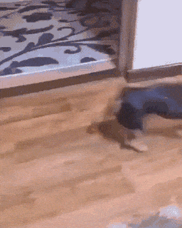 Просто гифки, всякие и&nbsp;разные