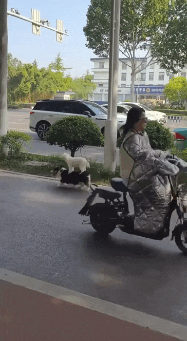 Просто гифки, всякие и&nbsp;разные