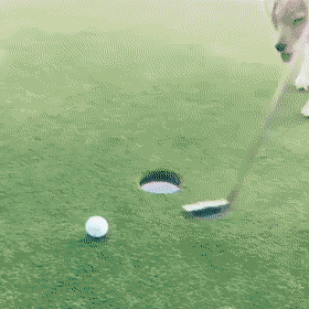 Просто гифки, всякие и&nbsp;разные