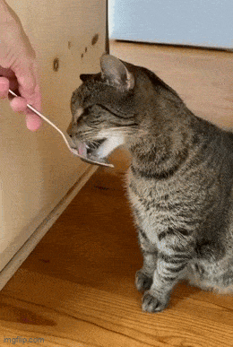 Запоздалая реакция