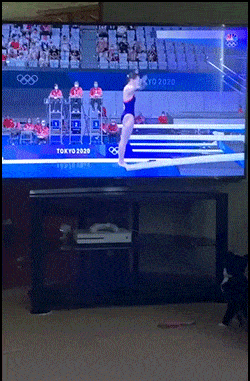 Просто гифки, всякие и&nbsp;разные