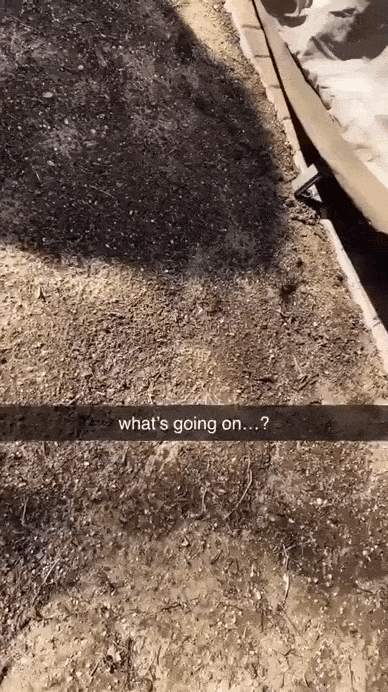 Просто гифки, всякие и&nbsp;разные