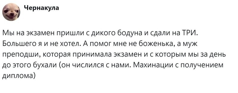 10. Гарантия успеха - правильно выбранный собутыльник