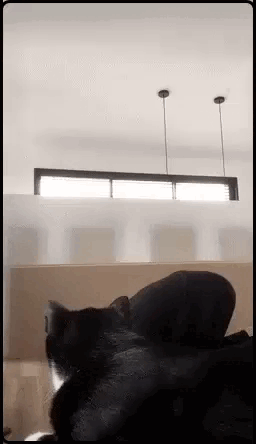 Просто гифки, всякие и&nbsp;разные