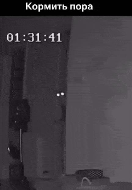 Просто гифки, всякие и&nbsp;разные