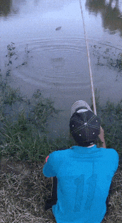 Просто гифки, всякие и&nbsp;разные