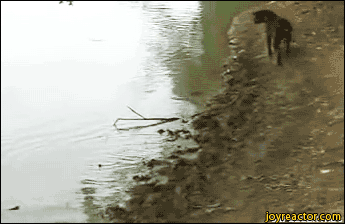 Просто гифки, всякие и&nbsp;разные