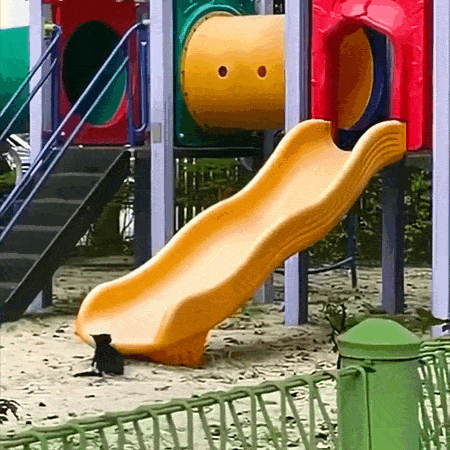 Просто гифки, всякие и&nbsp;разные