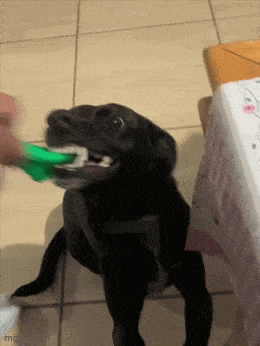 Когда предложили альтернативу