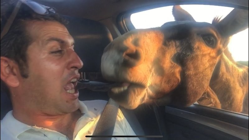 4. Только один поцелуйчик!