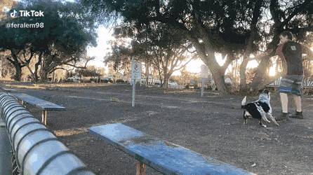 Просто гифки, всякие и&nbsp;разные