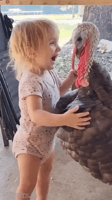 Просто гифки, всякие и&nbsp;разные