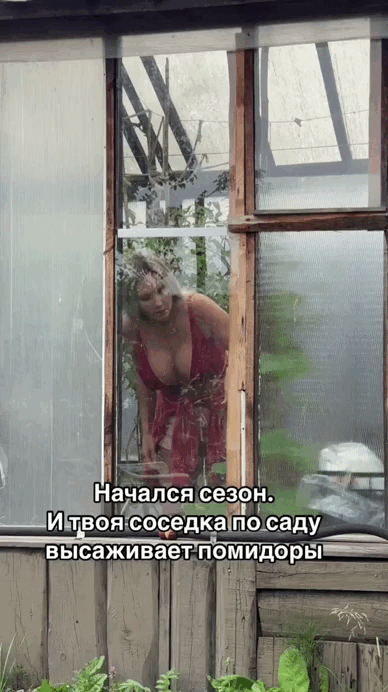 Просто гифки, всякие и&nbsp;разные