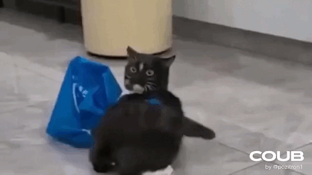 Просто гифки, всякие и&nbsp;разные