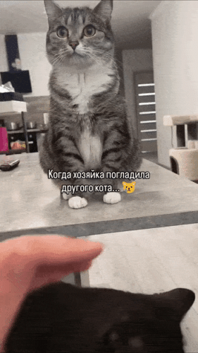 Просто гифки, всякие и&nbsp;разные
