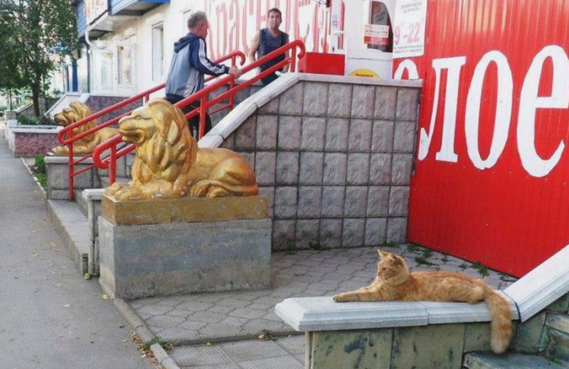 7. Мы с тобой одной крови