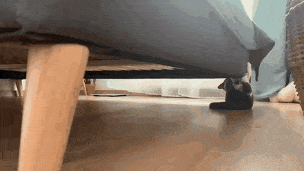 Просто гифки, всякие и&nbsp;разные