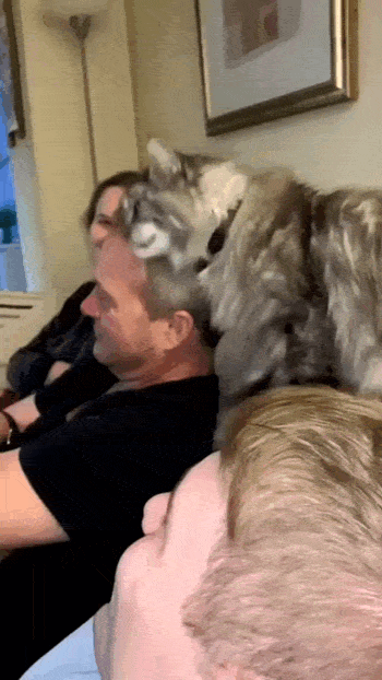 Просто гифки, всякие и&nbsp;разные