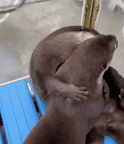 Просто гифки, всякие и&nbsp;разные